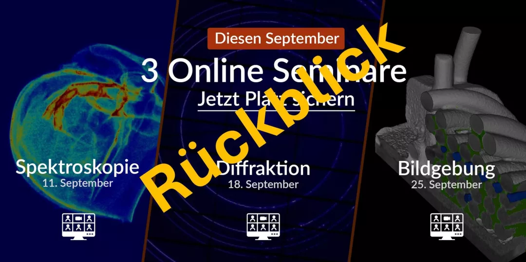 online Seminare 2025 Rückblick