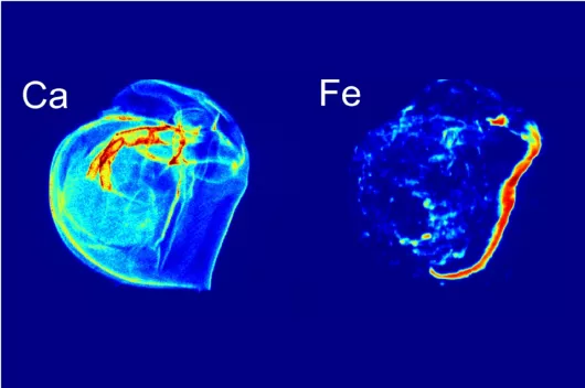 Spectroscopy complimentary 1920