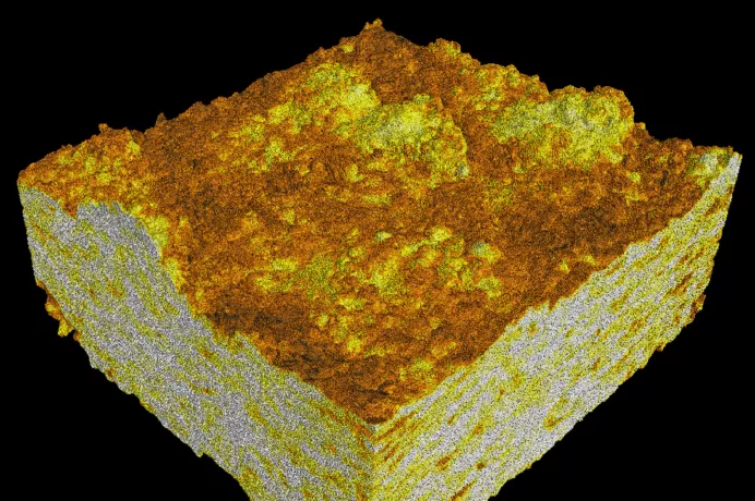 Publication_Gulhfi_1